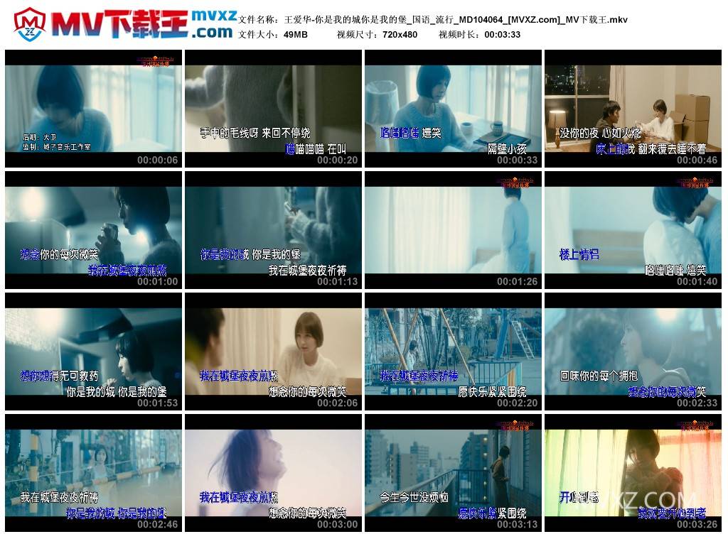 王爱华-你是我的城你是我的堡_国语_流行_MD104064